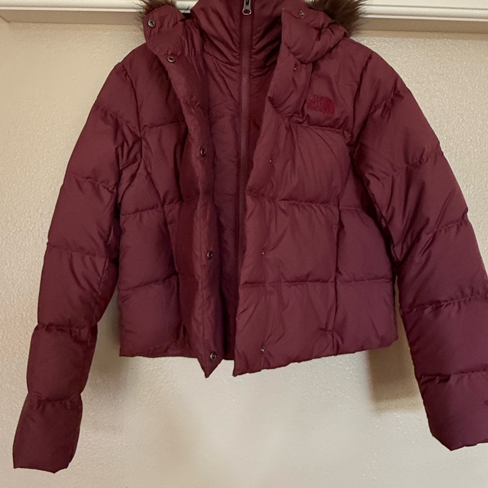 The North Face Cropped Down Jacket